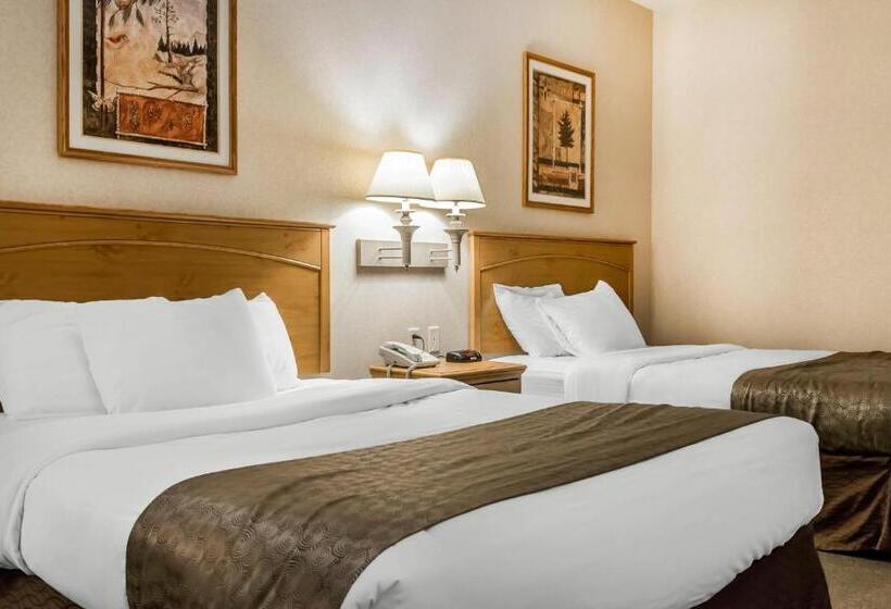스탠다드 룸, Rodeway Inn & Suites