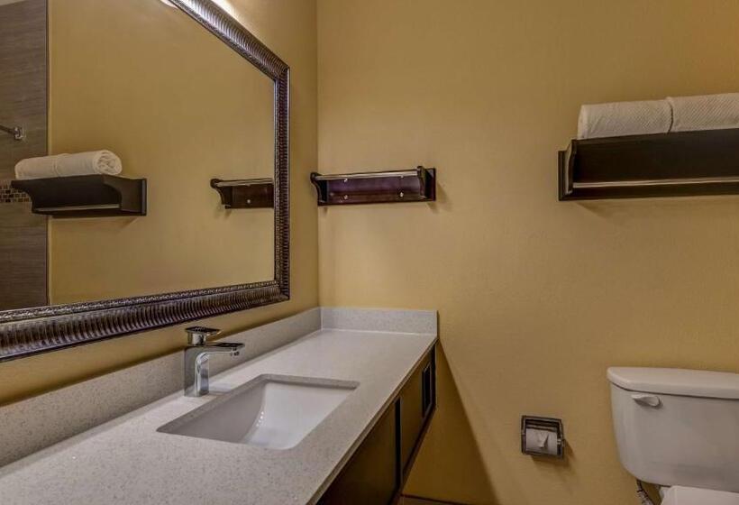חדר סטנדרט, Surestay Plus Hotel By Best Western Alvin
