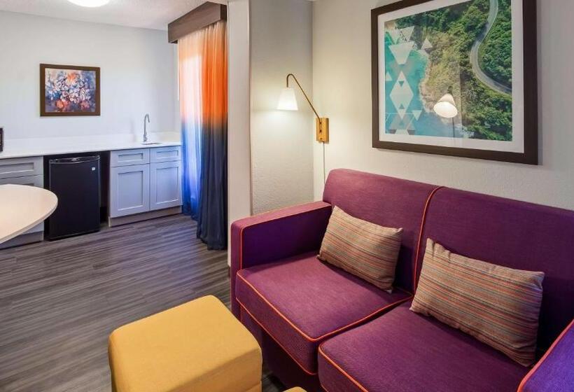 اتاق استاندارد با تخت بزرگ, Best Western Plus Lexington Inn