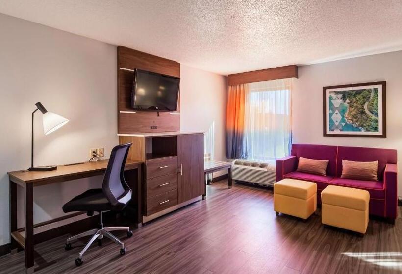 اتاق استاندارد با تخت بزرگ, Best Western Plus Lexington Inn