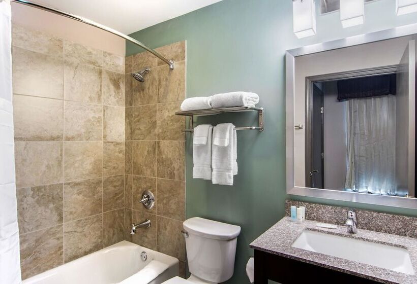 סוויטה, Clarion Inn & Suites Atlanta Downtown