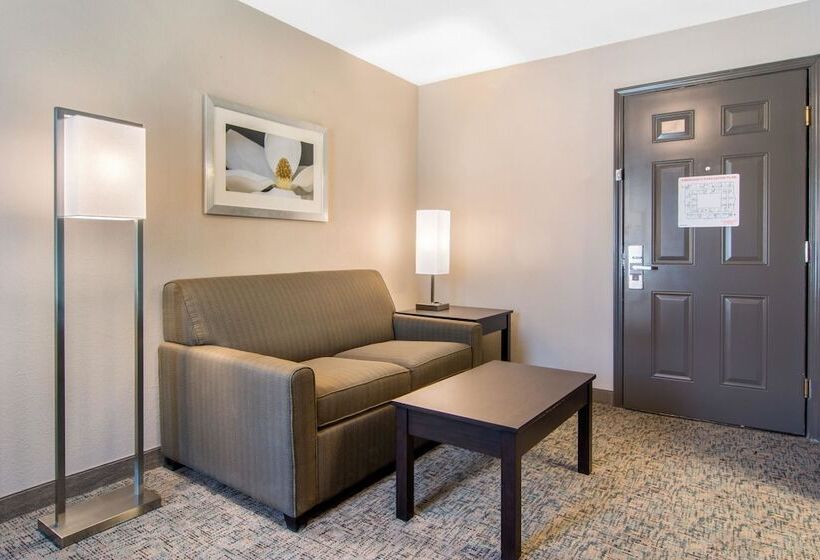 סוויטה, Clarion Inn & Suites Atlanta Downtown