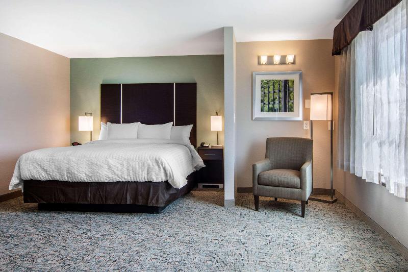 חדר סטנדרט עם מיטת קינג, Clarion Inn & Suites Atlanta Downtown