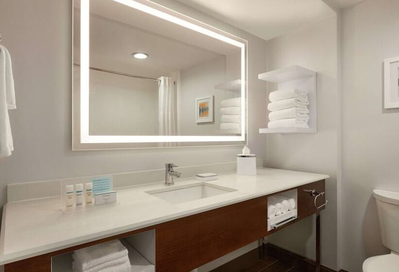 디럭스 룸, Hampton Inn Dulles Cascades