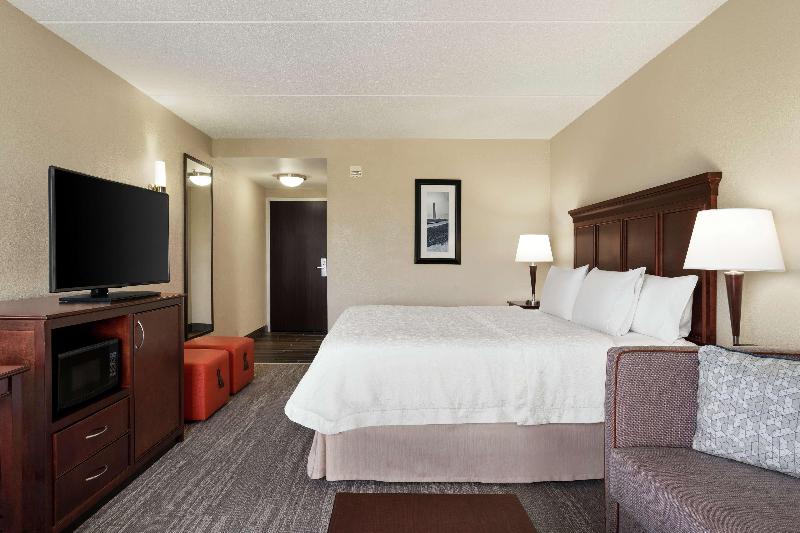 스탠다드 룸 킹사이즈 침대, Hampton Inn Dulles Cascades