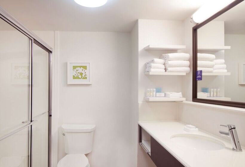 Номер Стандарт 2 Двуспальные Кровати, Hampton Inn Lawrenceville
