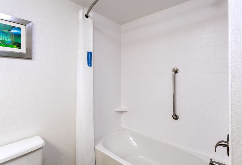 스탠다드 룸, Hampton Inn Spring Hill