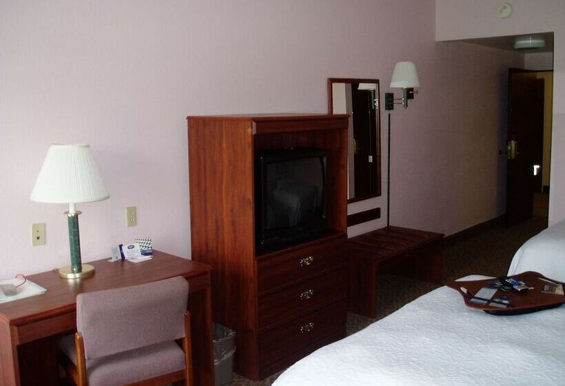 Quarto Estandar, Hampton Inn Spring Hill