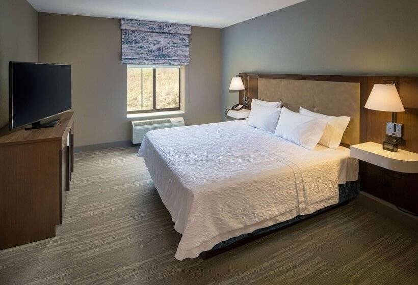 Люкс, Hampton Inn & Suites Binghamton/vestal