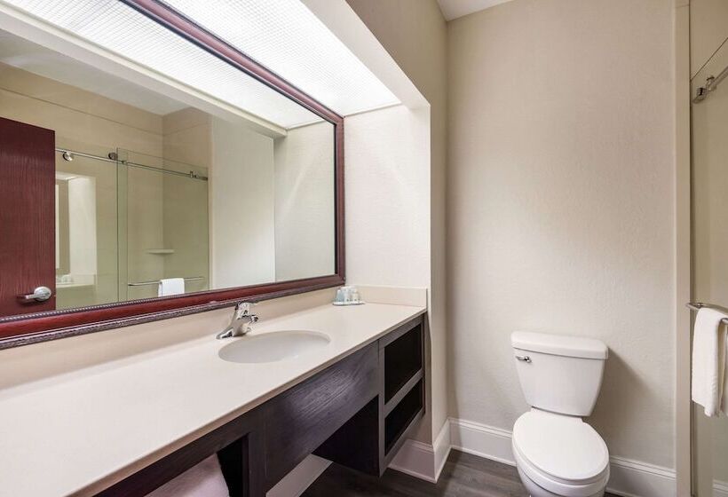 Номер Стандарт 2 Двуспальные Кровати, Quality Inn & Suites Quincy  Downtown