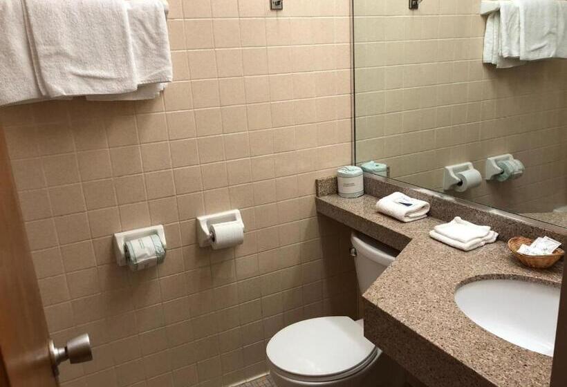 Стандартный Номер Кровать Кинг, Red Carpet Inn Syracuse Airport
