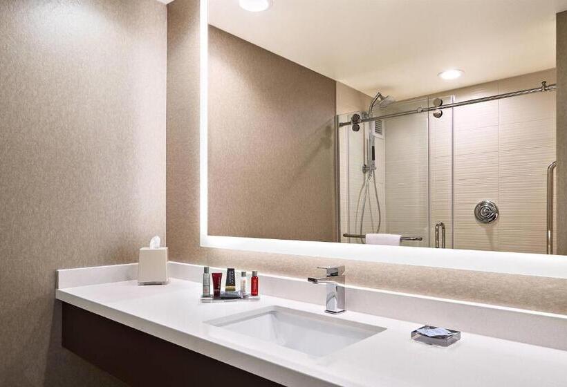 Номер Стандарт Кровать Кинг Адаптированный для Инвалидов, Austin Marriott North