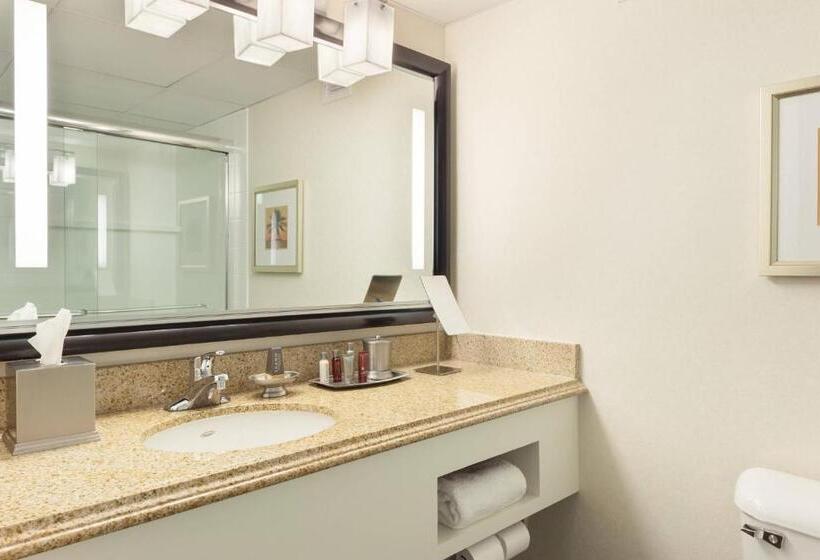 身障者適用キングサイズベッドルーム, West Palm Beach Marriott