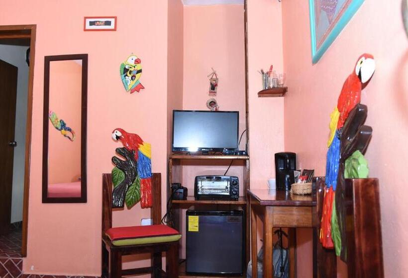 Standardrum, Cancun Guest House 1