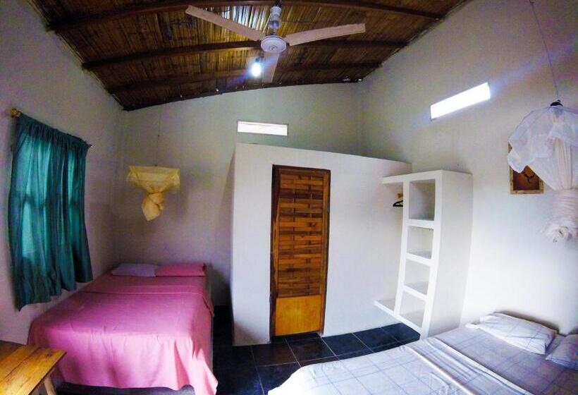 اتاق استاندارد, Montañita Garden Hostal