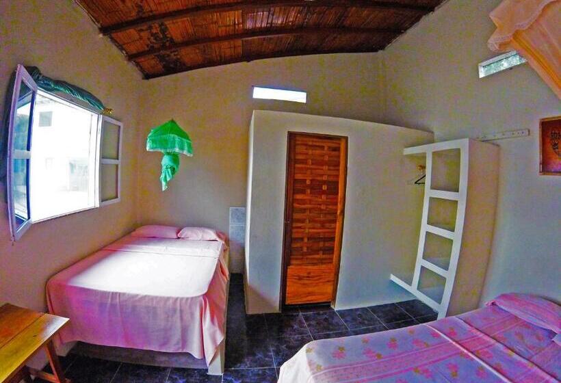 اتاق استاندارد, Montañita Garden Hostal