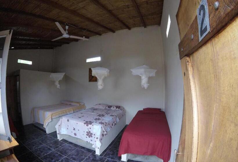 اتاق استاندارد چهار تخته, Montañita Garden Hostal