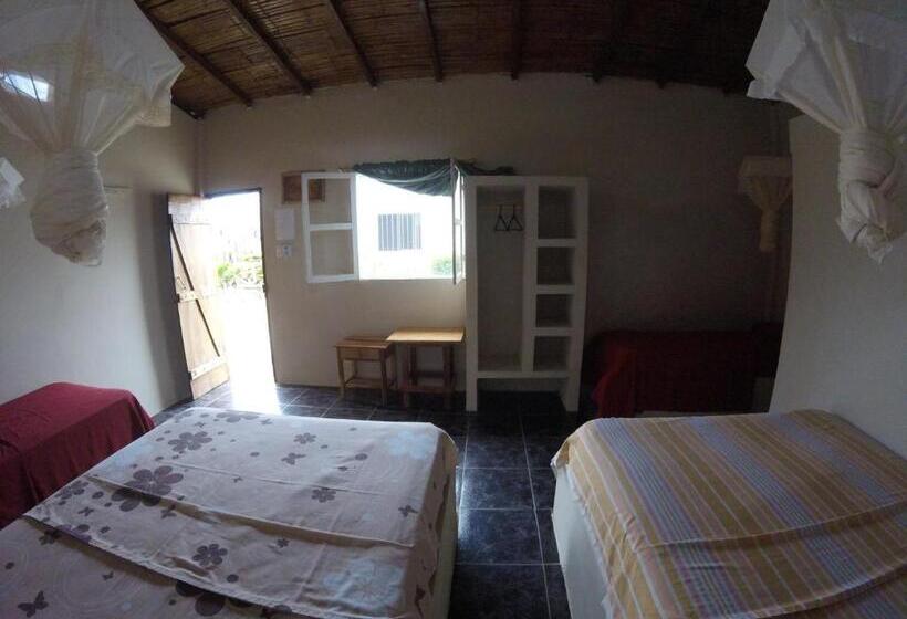 اتاق استاندارد چهار تخته, Montañita Garden Hostal