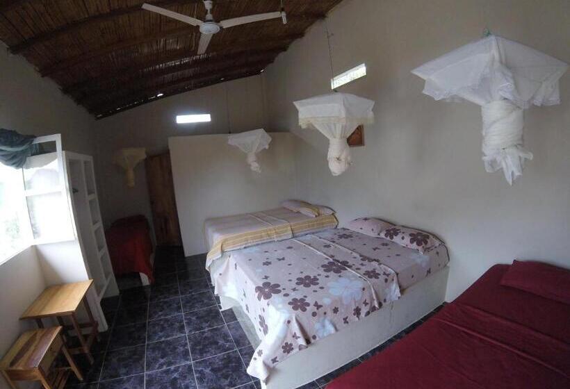 اتاق استاندارد چهار تخته, Montañita Garden Hostal
