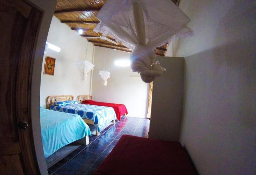 اتاق استاندارد چهار تخته, Montañita Garden Hostal