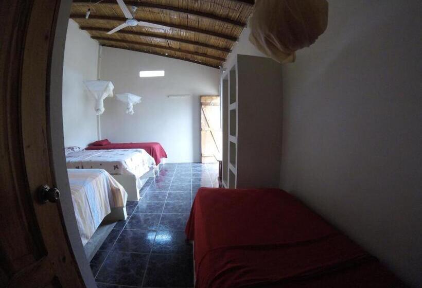 اتاق استاندارد چهار تخته, Montañita Garden Hostal