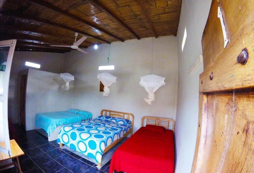 اتاق استاندارد چهار تخته, Montañita Garden Hostal