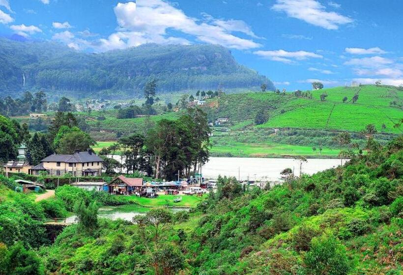 اتاق استاندارد با چشم‌انداز دریاچه, Gregory Hills