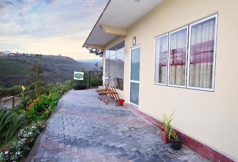 اتاق اکونومی, Gregory Hills