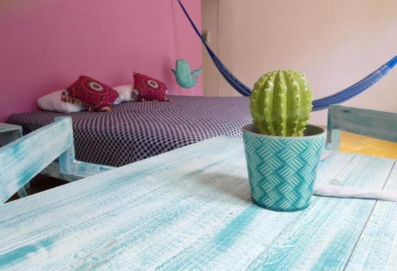 اتاق استاندارد با چشم‌انداز استخر, Casa Vainilla Holbox Island