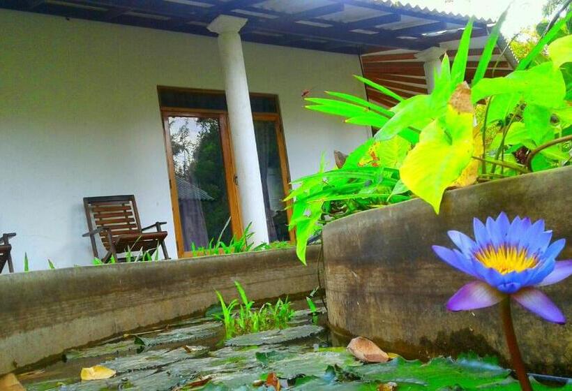 חדר סטנדרט, River Retreat Sigiriya