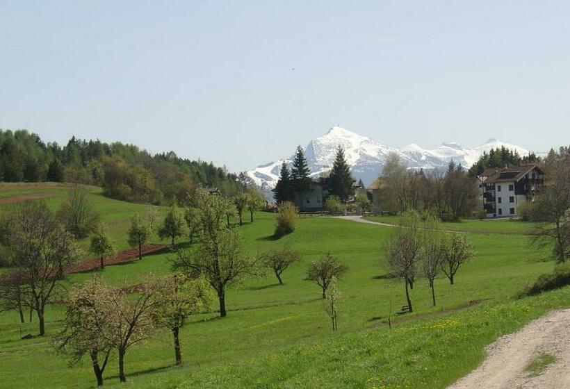 스탠다드 룸, Agriturismo Girasole