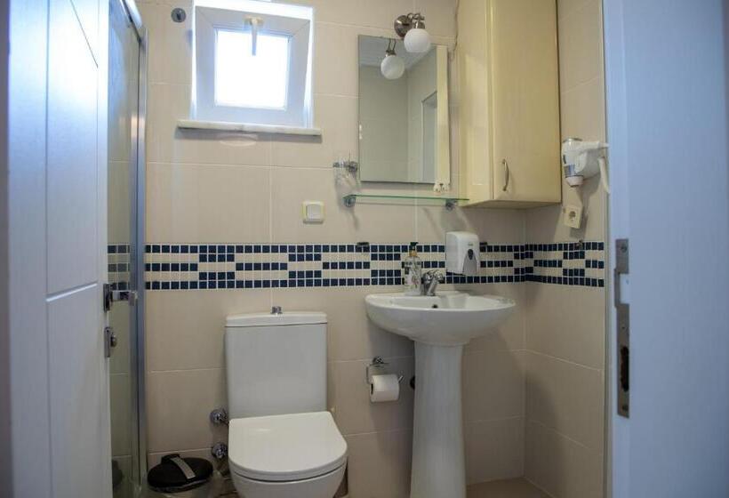 اتاق اکونومی, Sapanca Villa Suite Boutique