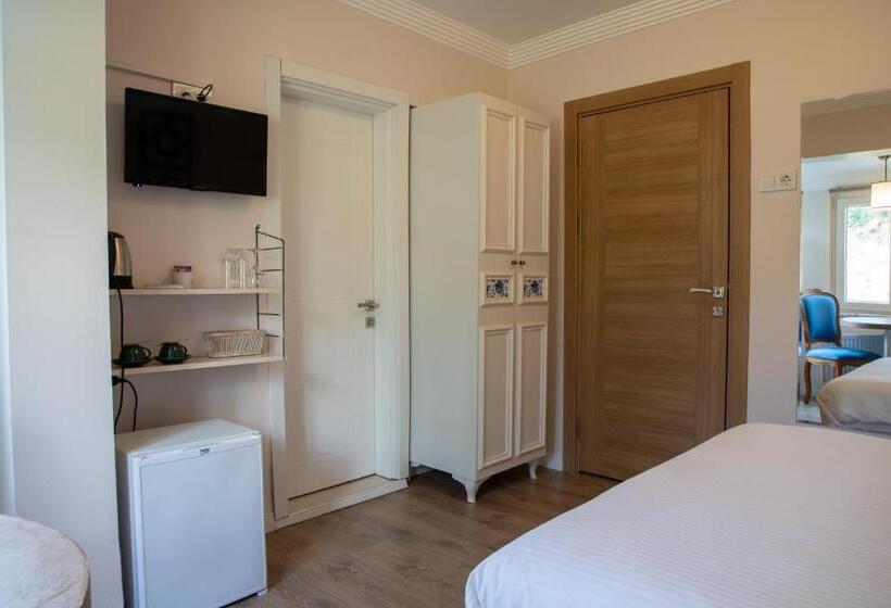 اتاق اکونومی, Sapanca Villa Suite Boutique