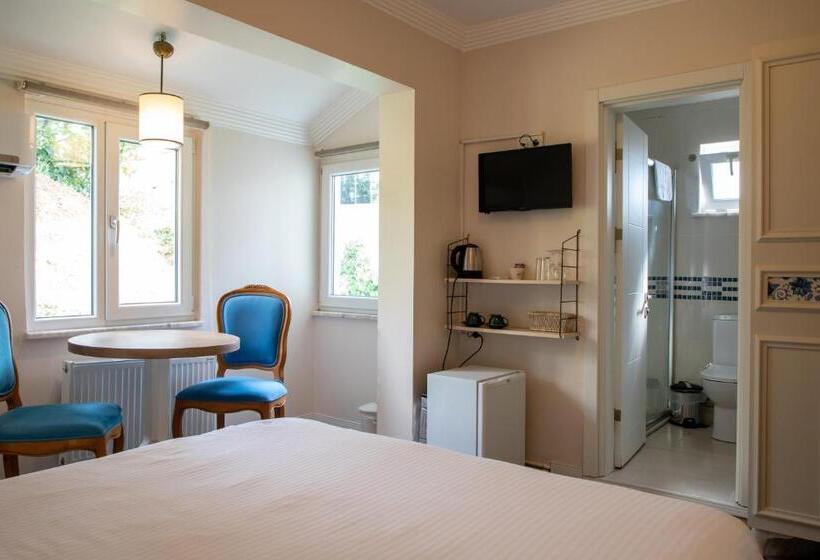 اتاق اکونومی, Sapanca Villa Suite Boutique