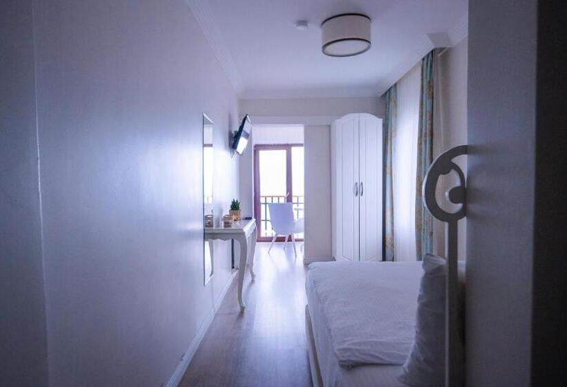 اتاق عادی, Sapanca Villa Suite Boutique
