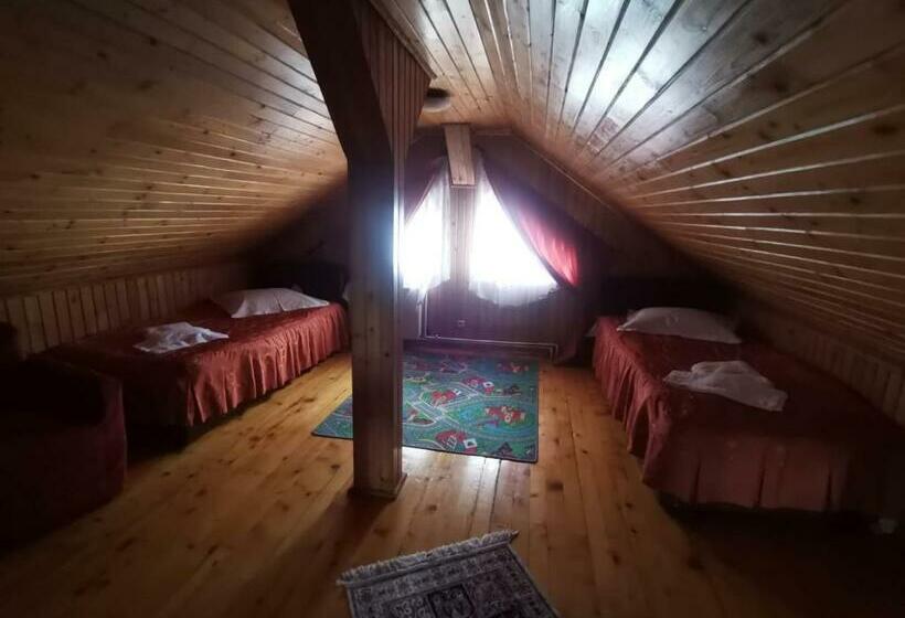 Люкс Дюплекс, Pensiunea Dapa