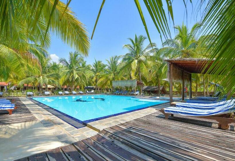 اتاق استاندارد با چشم‌انداز استخر, De Silva Palm Resort