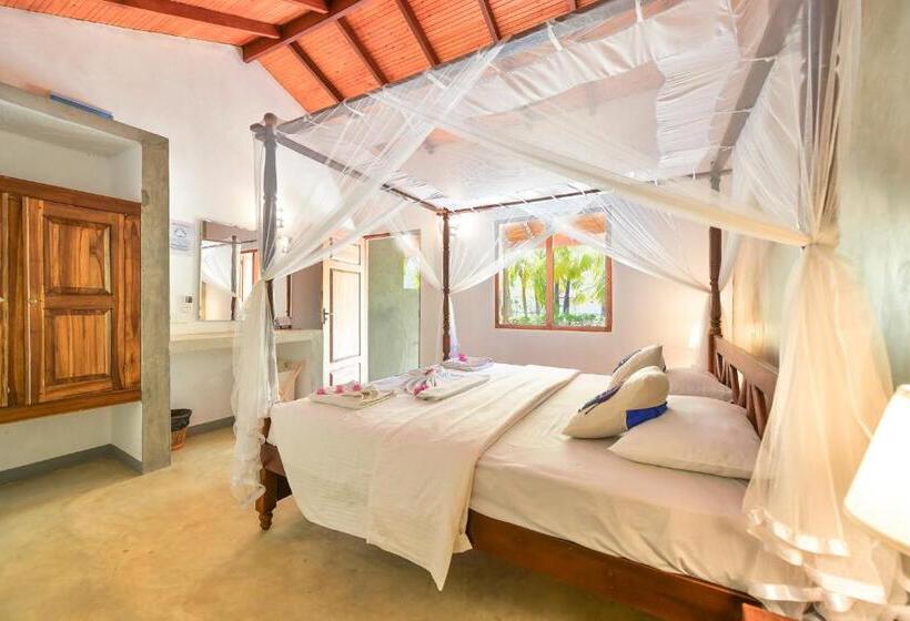 اتاق استاندارد با چشم‌انداز استخر, De Silva Palm Resort