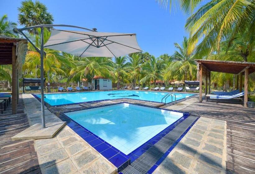 اتاق استاندارد با چشم‌انداز استخر, De Silva Palm Resort