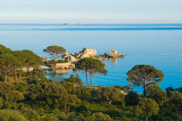 Номер Стандарт Вид на Море, Chambres D'hôtes Littariccia