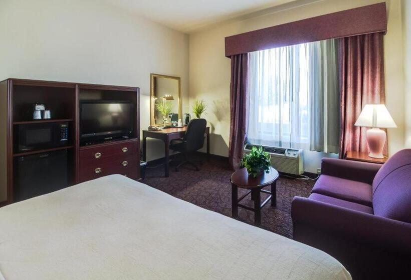 Chambre Standard Lit King Size, Ashmore Inn And Suites Amarillo