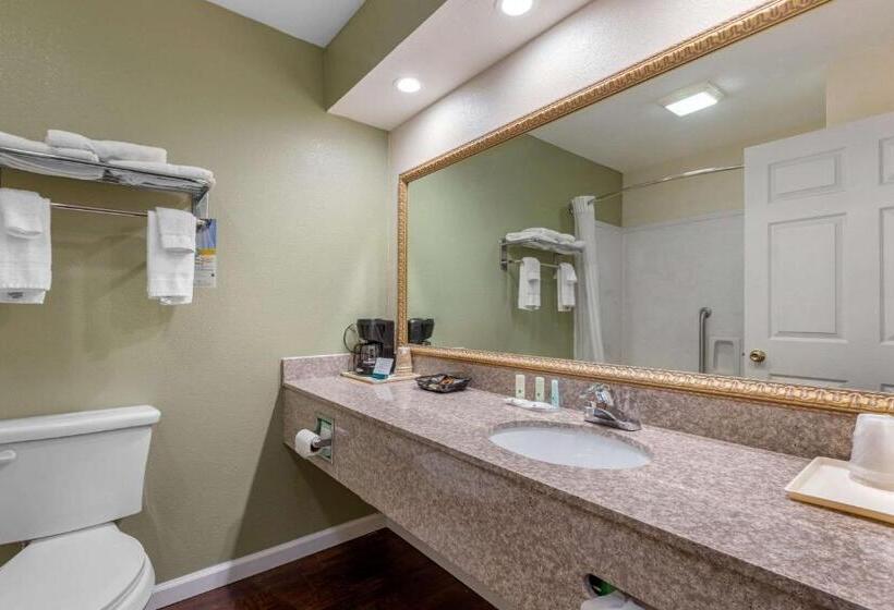 Номер Стандарт, Quality Inn West Memphis I40
