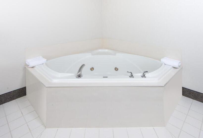 Standard Studio Kingsize Seng, Ramada By Wyndham Springfield North