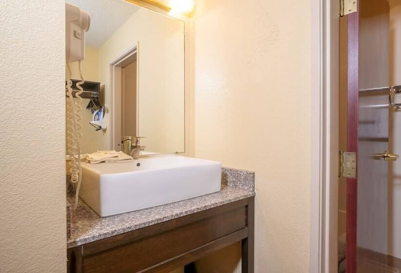 Люкс, Red Roof Inn & Suites Indianapolis Airport