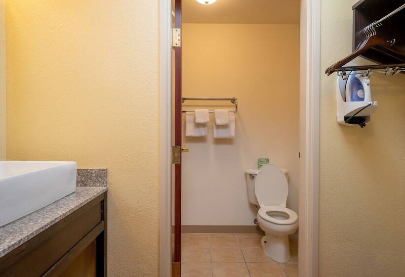Люкс, Red Roof Inn & Suites Indianapolis Airport