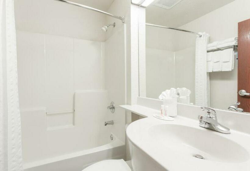 장애인을 위한 수피리어 룸, Microtel Inn & Suites Marianna