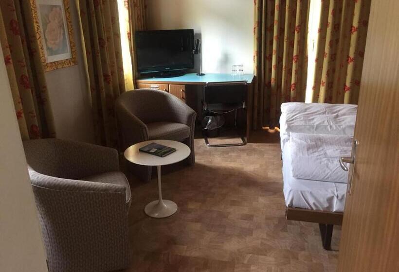 اتاق استاندارد, Sporthotel Wildstrubel