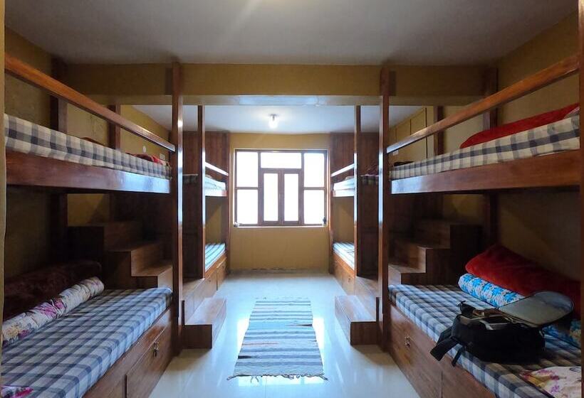 수피리어 공동객실 침대, Moustache Kaza Spiti   Hostel