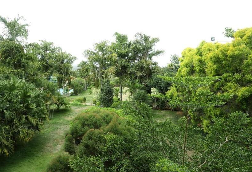 高级套房, Holiday Valley Hotels And Resorts