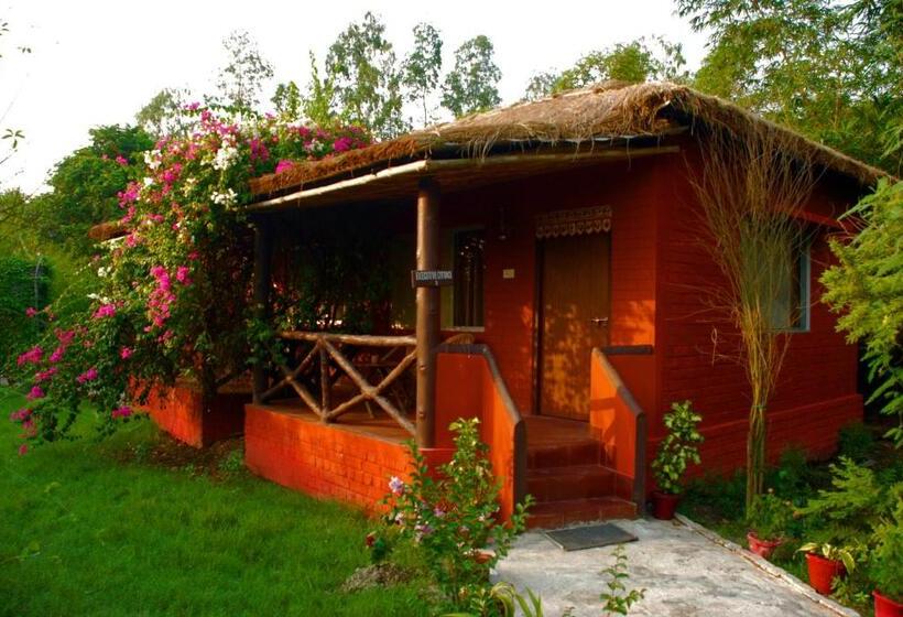Номер Стандарт, Sunderban Tiger Camp